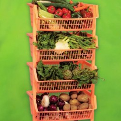 BOCCA DI LUPO        ECOPLAST