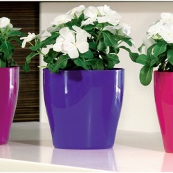 VASO LIVING   CM.25            VECA