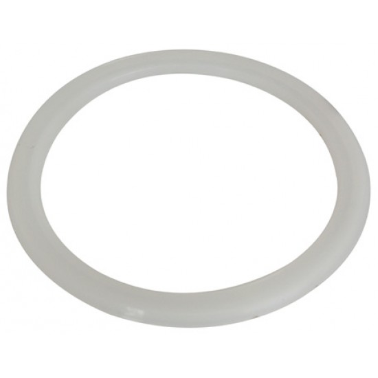 GUARNIZIONE FUSTO LT.100  SIL. SANS