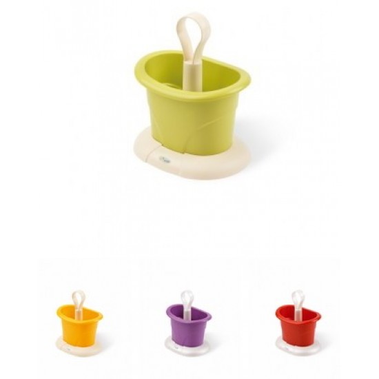 SCOLAPOSATE TULIP. 02          ECOP