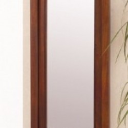 SPECCHIERA C/CASS.      F0428 FUTUR