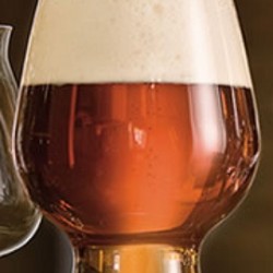 BICCHIERE BIRRA IPA       540 PM985