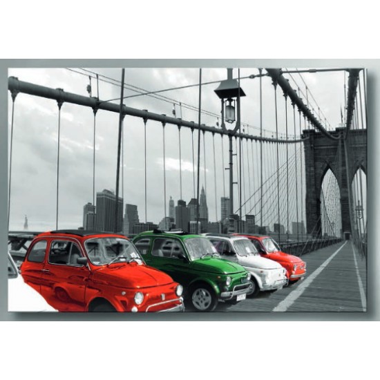QUADRO 100X150 PLEX ART     VR06196