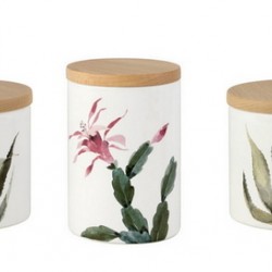 TRIS BARATTOLI CACTUS      5010/CAT