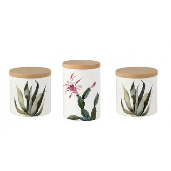 TRIS BARATTOLI CACTUS      5010/CAT