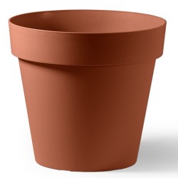 VASO CLEO CM.80                VECA