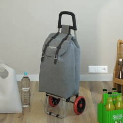 CARRELLO SPESA SMART            COL