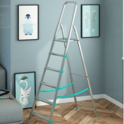 SCALA LIBELLULA ALLUM. 6  GR.   COL