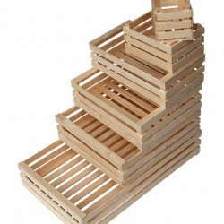 CASSETTA LEGNO 32X17X9      40/9003