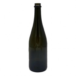 BOTTIGLIA CHAMPAGNE ML.750 LIGH