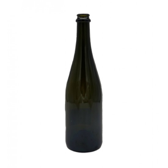 BOTTIGLIA CHAMPAGNE ML.750 LIGH