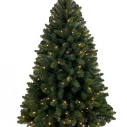 ALBERO LAGAZUOI 210 C/LED    210019